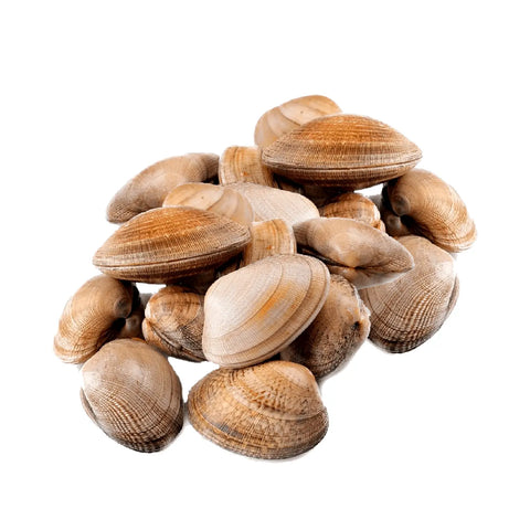 Almejas Gallegas