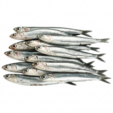 Boquerón de Costa