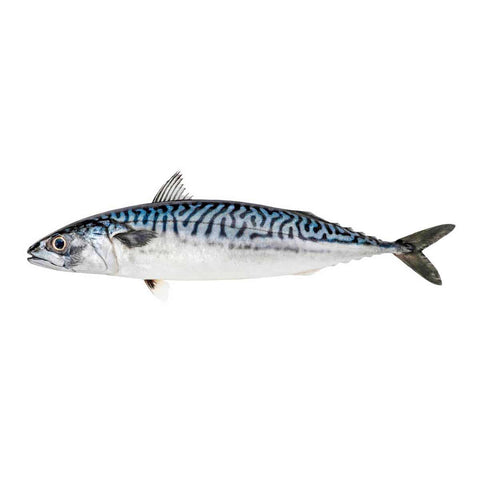Caballa