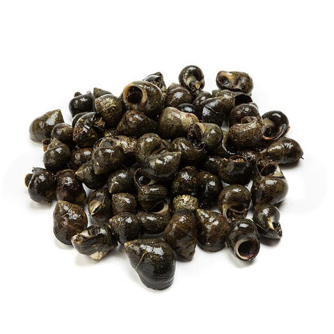 Caracolillos