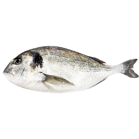 Dorada salvaje