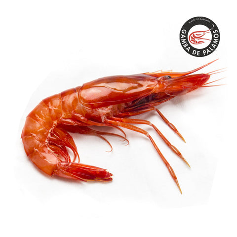 Gamba roja de Palamós sobre hielo en La Barca