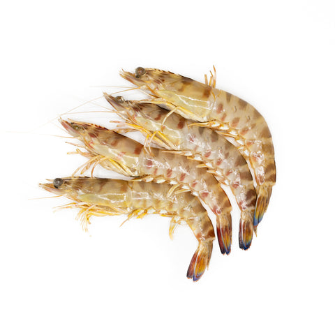 Langostino Sant Carles