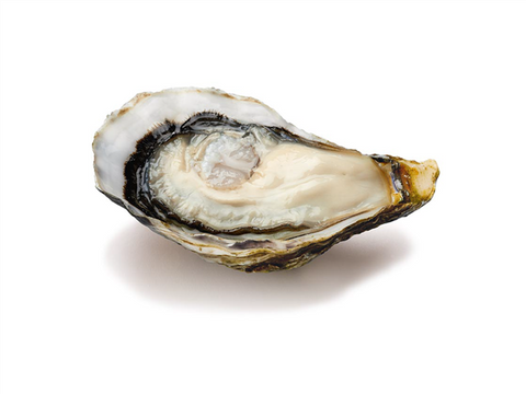 Ostra Gillardeau Special de Claire Nº2
