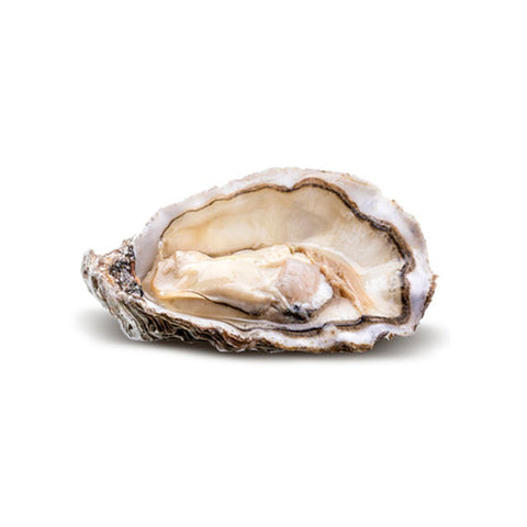 Ostra Marennes d'Oléron Nº2 abierta en La Barca