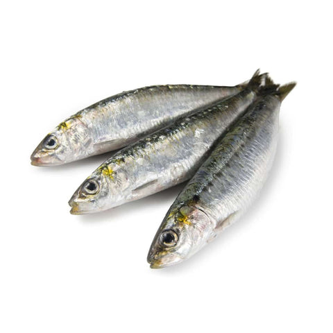 Sardina de Playa